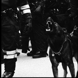 福利社免费视频
